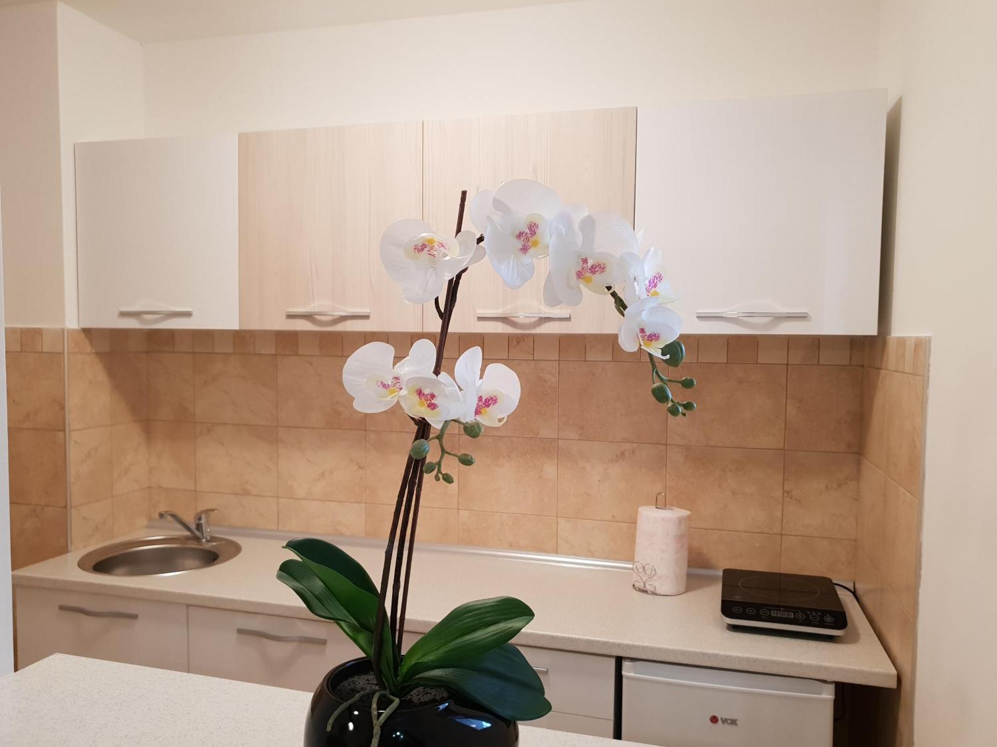 Apartman Kej Free Parking Kraljevo Exterior photo